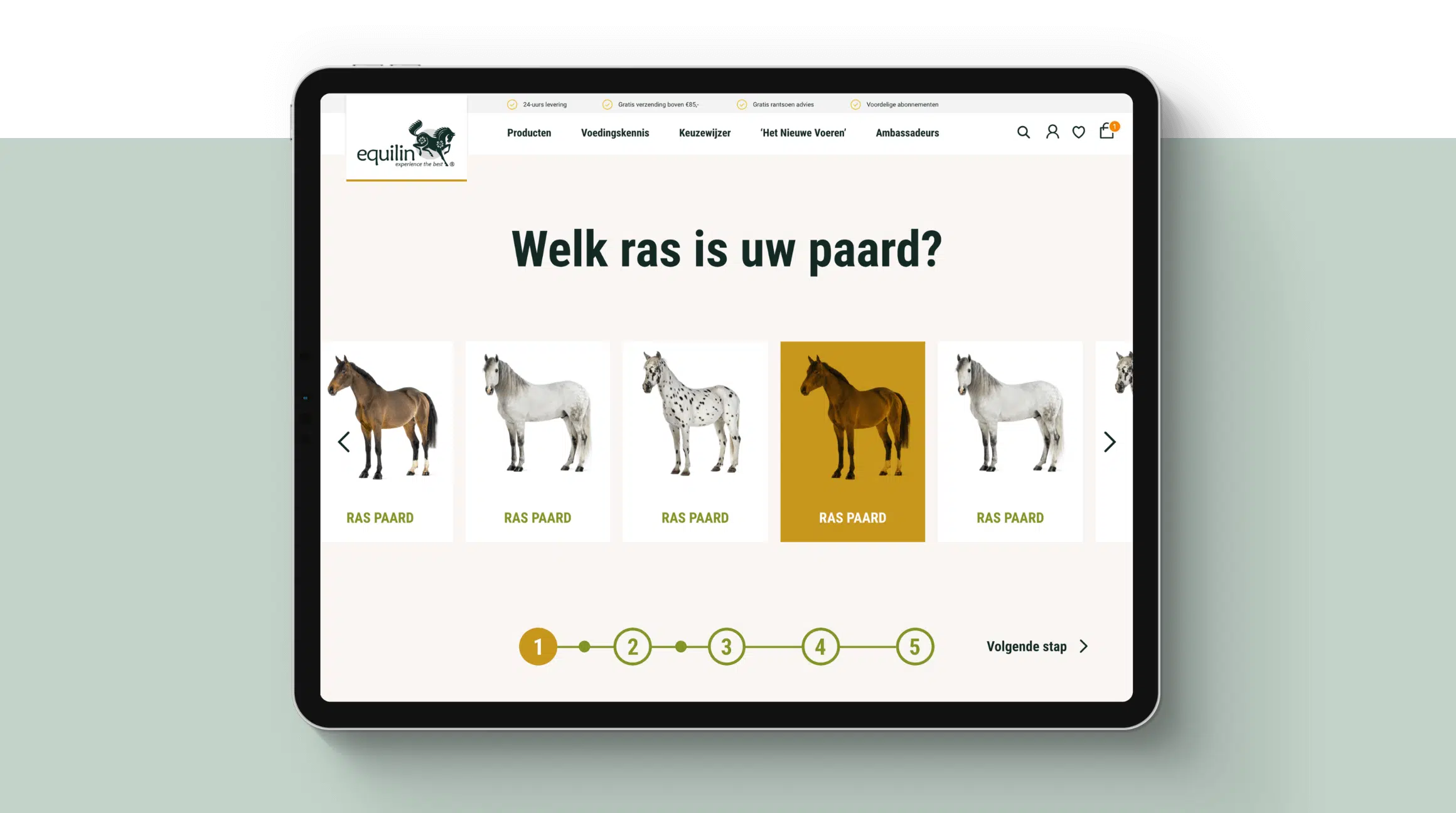 Equilin website ontwikkeling