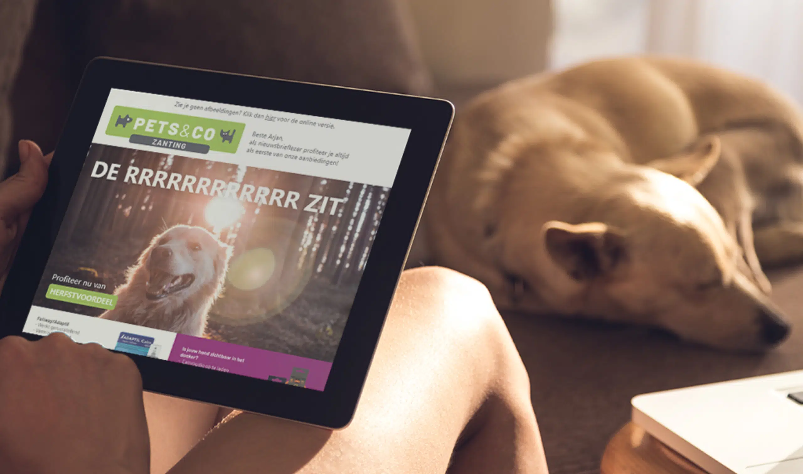 e-mail marketing voor alle winkels van pets en co