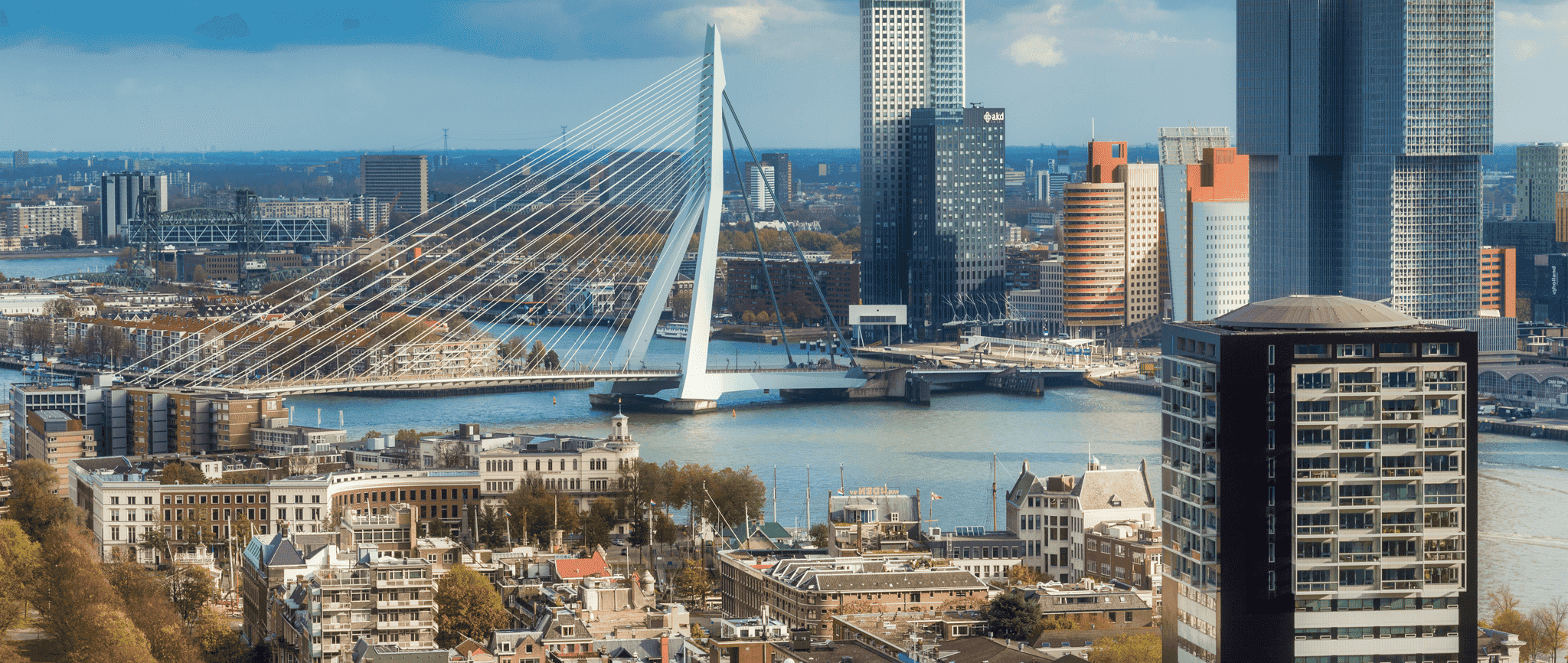 zoekmachine optimalisatie of SEO in Rotterdam